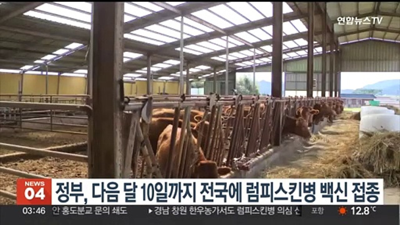 내달 10일까지 럼피스킨병 백신 접종 완료