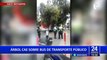 Árbol de gran tamaño cae sobre autobús de transporte público en San Isidro