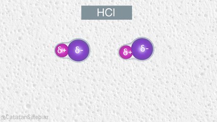 Dipole-Dipole Force or Keesom Force Animation