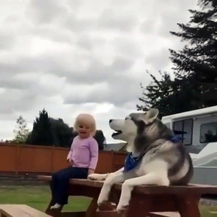 CUTE DOGGIE