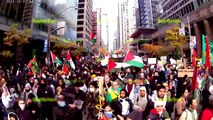 ALL OUT FOR PALESTINE, End the Siege, End the Genocide in Gaza - Timelapse only!