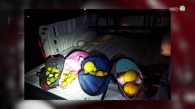 Tlajomulco advierte que habrá sanciones a quien realice actos vandálicos noche del 31 de octubre