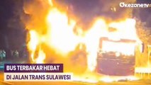 Bus Terbakar di Jalan Trans Sulawesi Picu Kepanikan