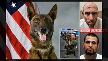 Heroic police dog Kenzo is stabbed to death by armed robbery suspects in Arizona during scuffle