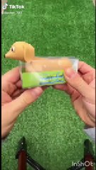 perro salchicha gordo bachita