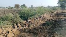 Machines were run in the fields without information, farmers angry