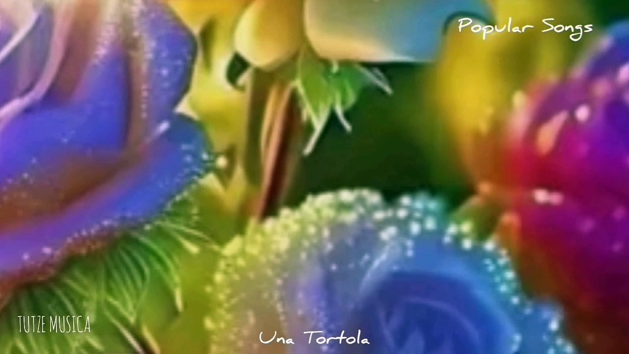FLORES Y VIOLETAS PARA TI