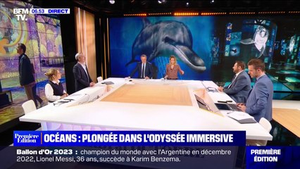 Plongée dans "Océans, l'odyssée immersive" à l'Ateliers des lumières à Paris