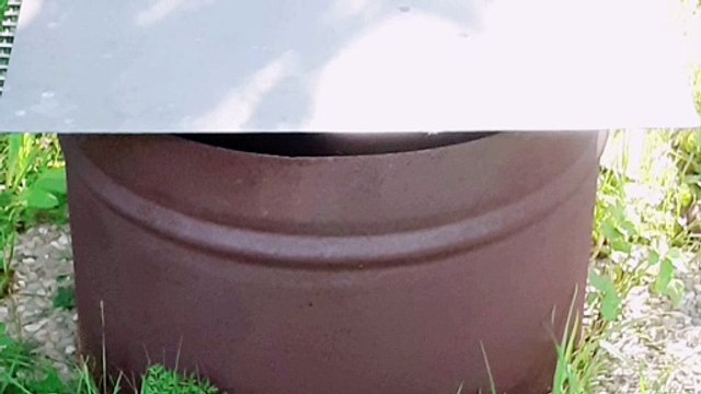 rapport pour les organisations internationales