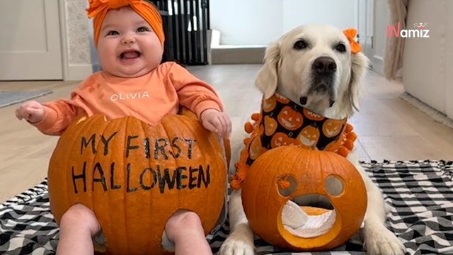 Ils organisent une activité mythique pour Halloween : 18,9M de personnes regardent la vidéo en boucle (vidéo)