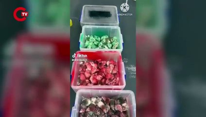 Londra'da McDonald's şubesine bir kutu dolusu fare bıraktılar