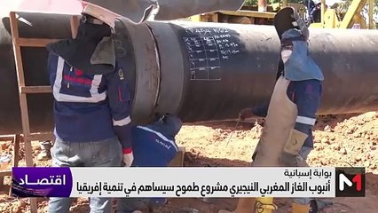 النشرة الاقتصادية - 31/10/2023