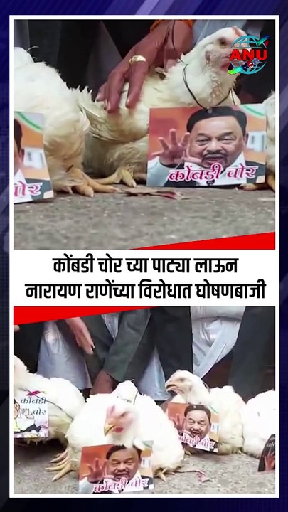 कोंबडी चोर च्या पाट्या लाऊन नारायण राणेंच्या विरोधात घोषणबाजी | #NarayanRane  #मनोजजरांगे