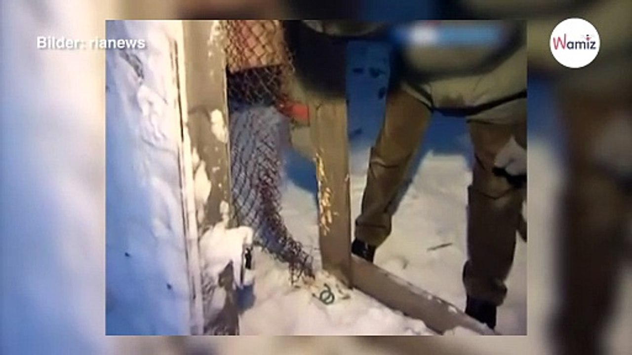 „Meine Freundin ist bei -50°C erfroren, aber ich lasse sie nicht alleine!“