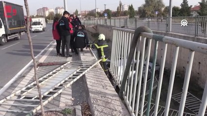 Kanala düşen otomobilin sürücüsü yaralandı