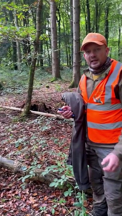 Untangling A Deer From Ropes
