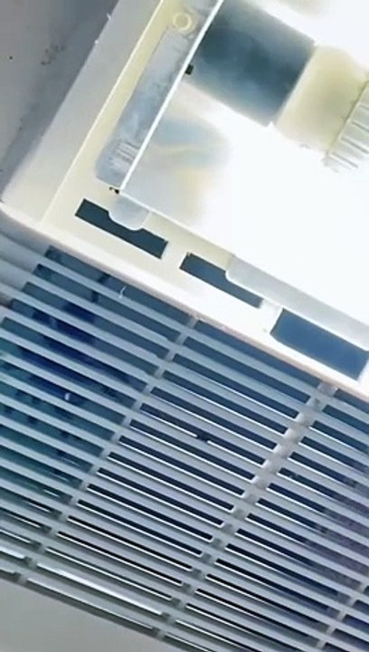 Tarantula In The Shower Vents