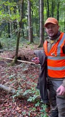 Untangling A Deer From Ropes