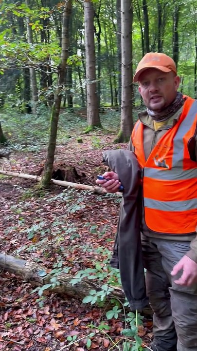 Untangling A Deer From Ropes
