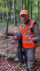 Untangling A Deer From Ropes