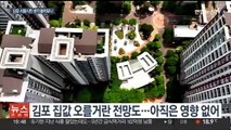 정치 이슈된 '김포 서울 편입' 논란…시민 반응은?