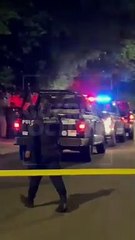 #Preliminar En un intento de asalto, un joven fue brutalmente golpeado en las inmediaciones del Zoológico Guadalajara, su mascota permaneció a su lado #GuardiaNocturna