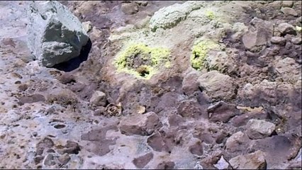 Volcanic Crater #2 / Nisyros Island / Greece