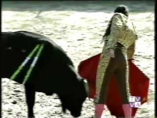 TARDE DE TOROS-RUBEN PRIETO-DAVID SAN MARTIN-NOVILLADA ZARATAN-11 JUNIO 1996
