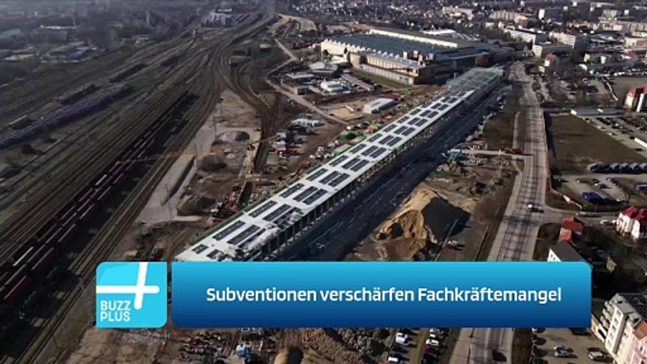 Subventionen verschärfen Fachkräftemangel