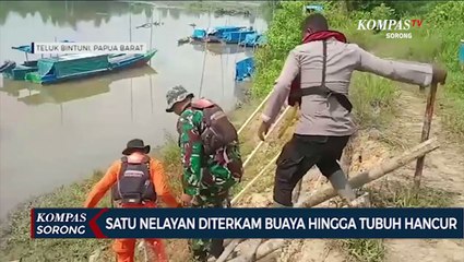 Tim SAR Gabungan Manokwari Temukan Tubuh Manusia Hancur Akibat Diterkam Buaya