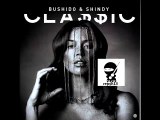 Bushido & Shindy - Shindy