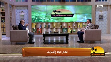 "غني جداً بالحديد والزنك".. د. مصطفى بسطامي أستاذ أمراض دواجن ونصائح هامة تخص لحم البط