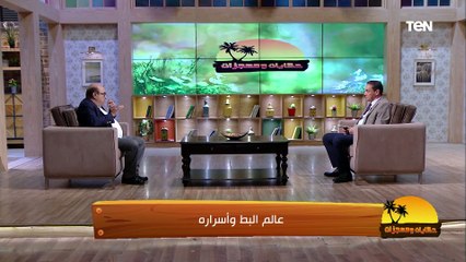 "هما نوعين فقط".. د. مصطفى بسطامي يكشف مفاجأة عن أنواع البط المنتشرة في الأسواق