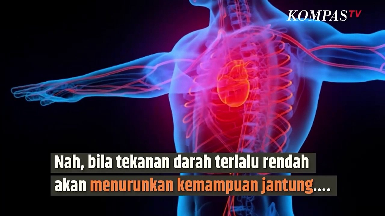 Tensi Darah Kamu Berapa? yang Normal Seperti Ini Nih | SINAU