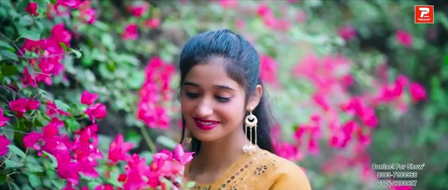 Way Dhola Jadan Tu Nikhri - Prince Ali Khan - official Music Video - 2023 - Prince Ali Khan Official