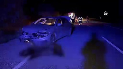 Van'da yola çıkan domuza çarpan otomobildeki 4 kişi yaralandı