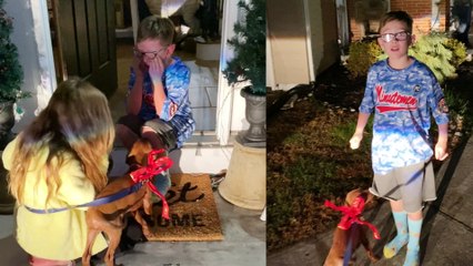 The Magic of Christmas: Surprising the Children with a Furry Friend  || Heartsome 
