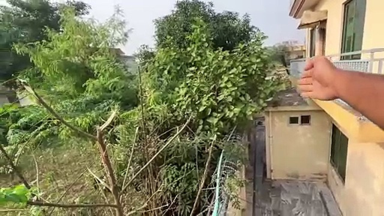 Piegon House Ka Kam Shuru Ho Gea