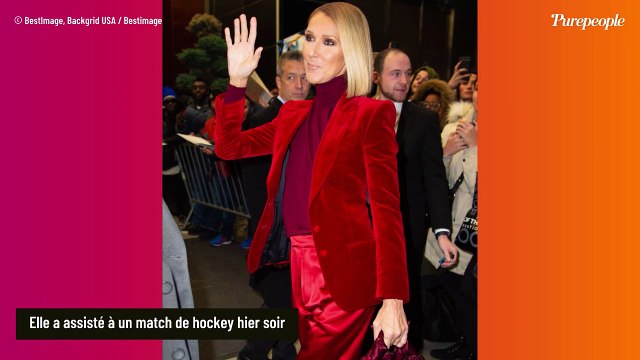 PHOTOS Céline Dion réapparaît enfin ! La chanteuse, atteinte du syndrome de l'homme raide, en famille et en forme ?