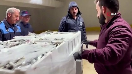 İstanbul'da Su Ürünleri Denetiminde 7.5 Ton Ürüne El Konuldu