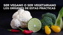 SER VEGANO o SER VEGETARIANO