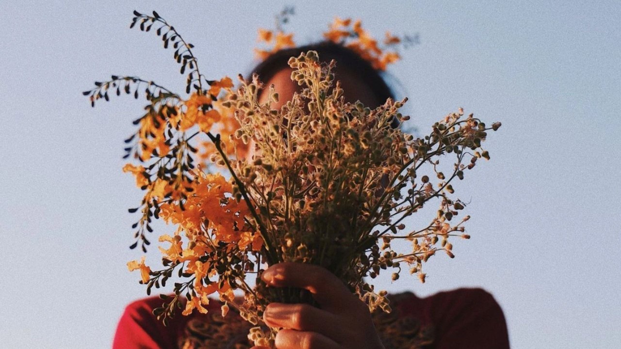 Horoscope du mois de novembre 2023 pour tous les signes astrologiques