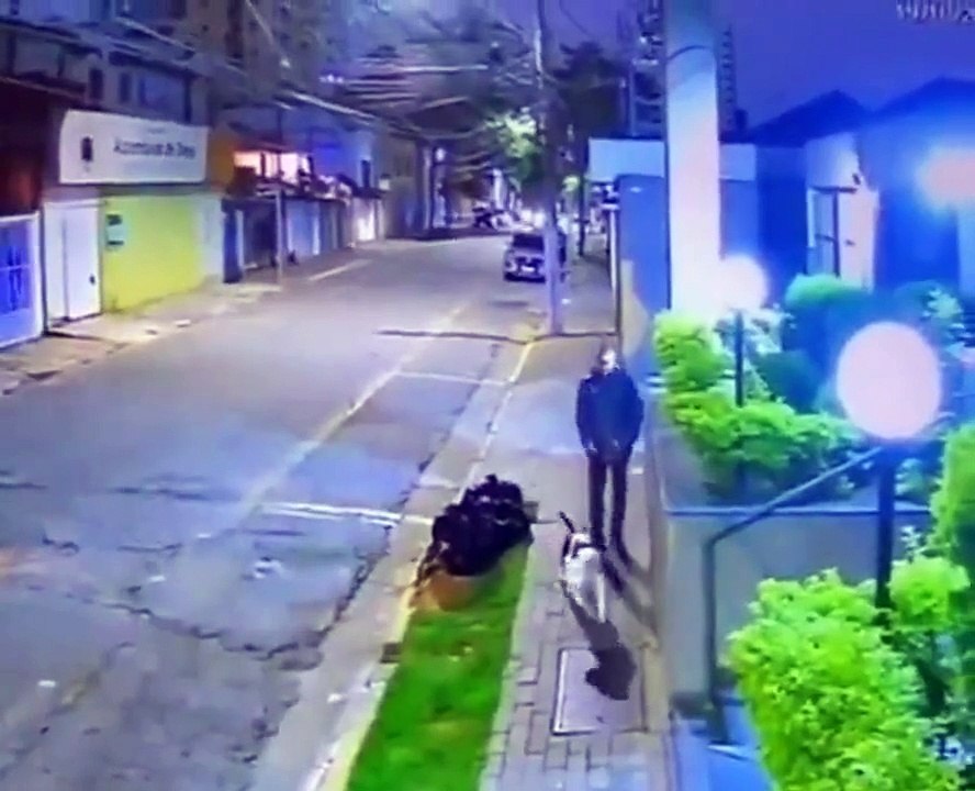 Un chien protège son maitre contre des voleurs de rue