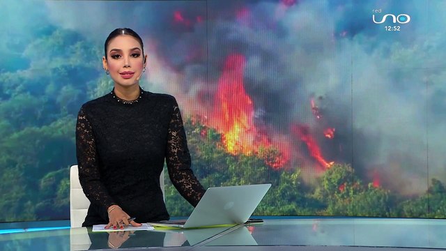 Pintaron a las aves para hacerlas parecer más exóticas