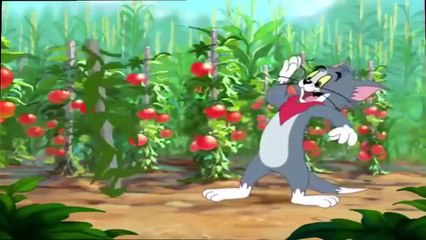 Tom and Jerry - Summer Squashing - Tom and Jerry cartoon for kids