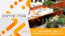 T4 Ep. 30 - La riqueza oculta de la herbolaria mexicana | Contextos, reportajes que revelan nuestra realidad