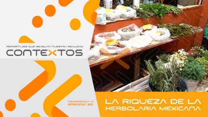 T4 Ep. 30 - La riqueza oculta de la herbolaria mexicana | Contextos, reportajes que revelan nuestra realidad