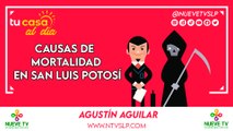 Causas de Mortalidad en San Luis Potosí