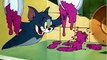 Tom and Jerry cartoon - The Missing Mouse Compilation.