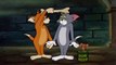 Tom and Jerry Episode 115   Switchin' Kitten Part 2